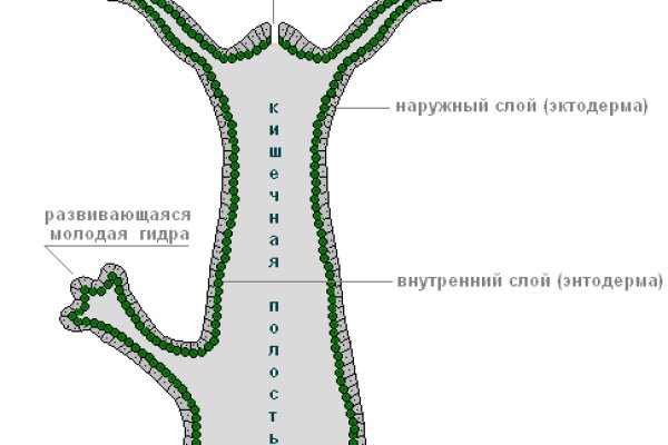 Кракен что продается