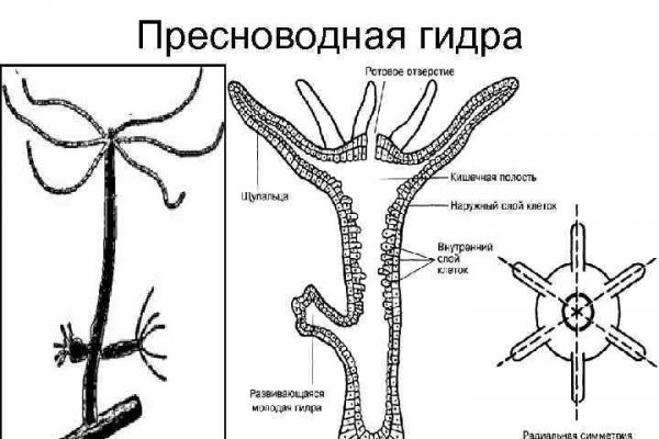 Кракен 2kraken biz