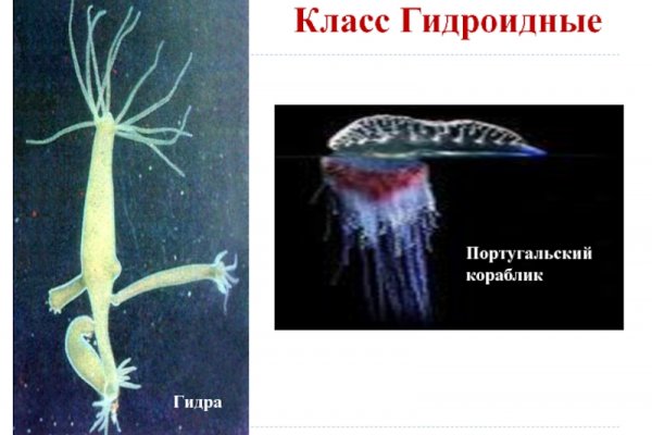 Kraken ссылка зеркало рабочее