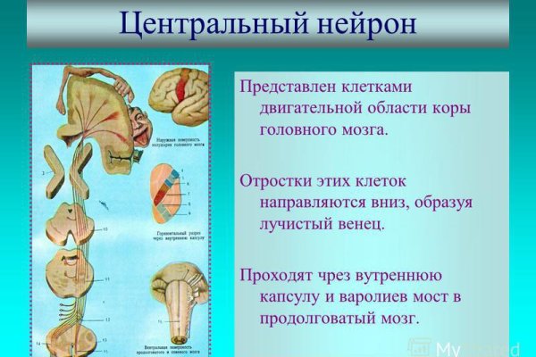 Как отличить оригинальный сайт кракена